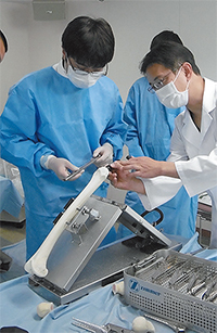 模擬骨を使った人工関節インプラントに取り組む