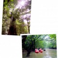 img01-272x300