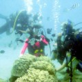 img1-300x214