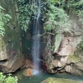 o0240032015193399415