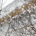 IMG_6777-768x512
